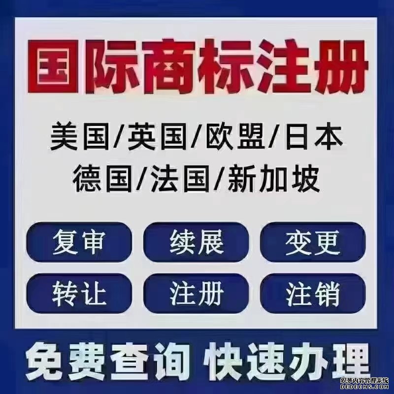  <b>跨境电商知识产权合规建议</b>