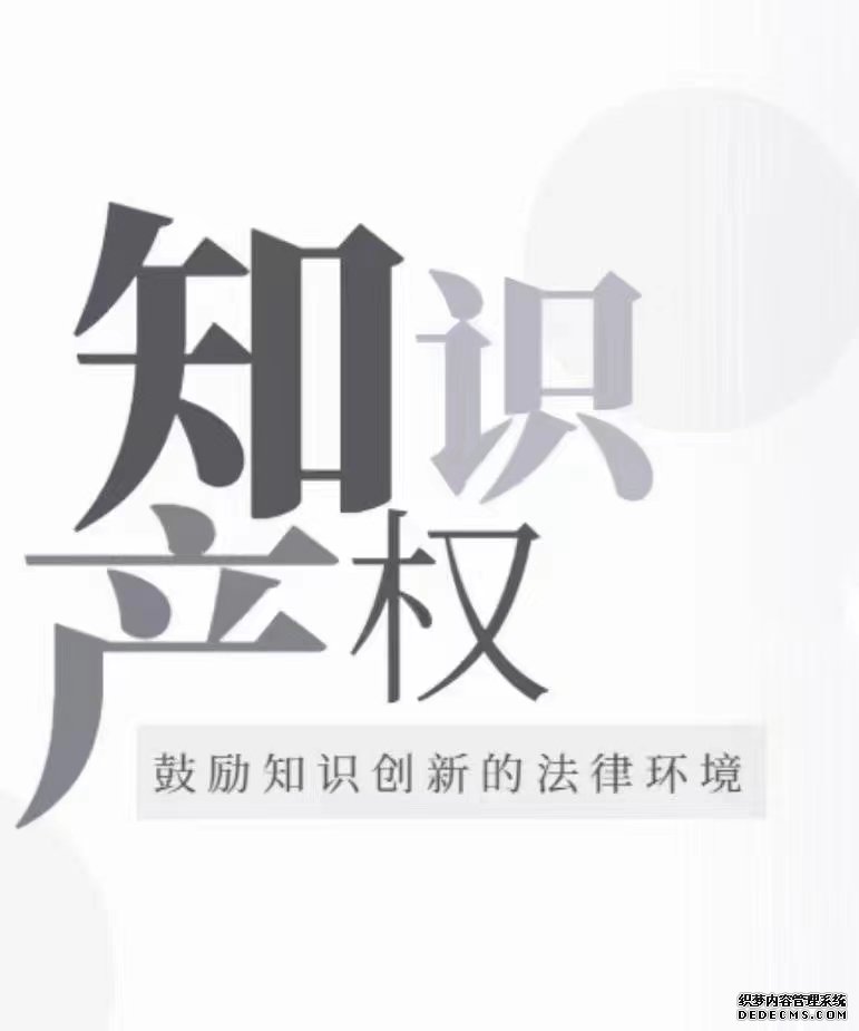  跨国企业的知识产权保护路径