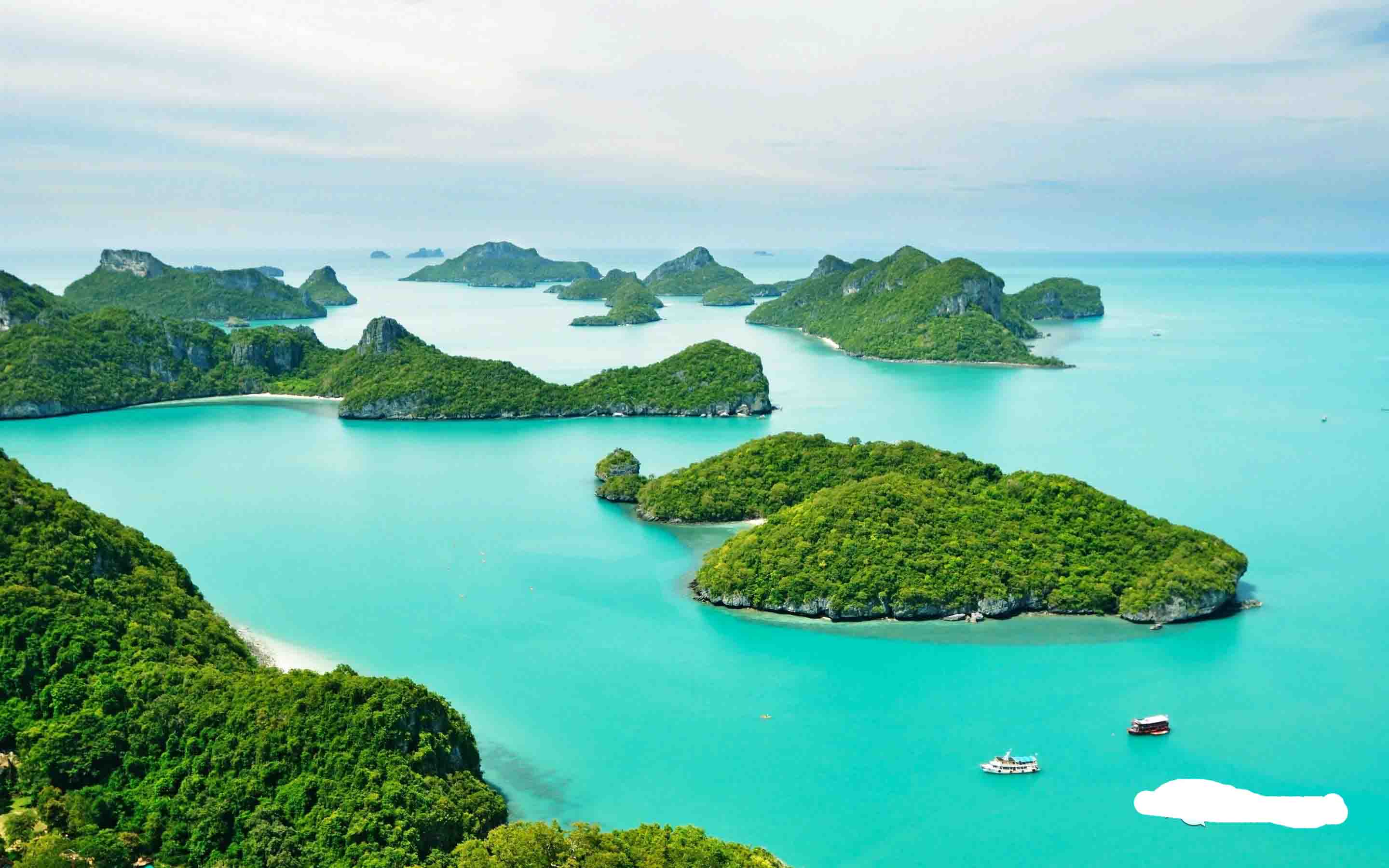 双乾涉外商标注册中心