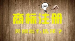  商标注册类别怎么选？
