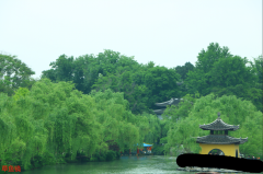  震惊了老铁，赌博网站也可以注册成商标？
